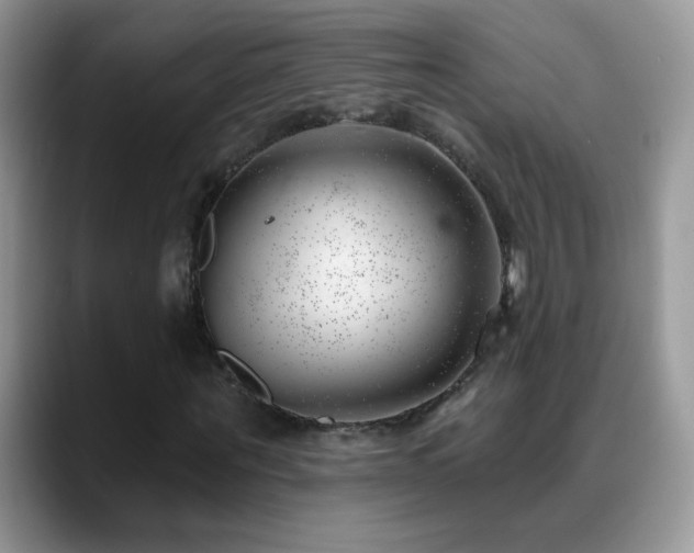 X0000088900867200706081304