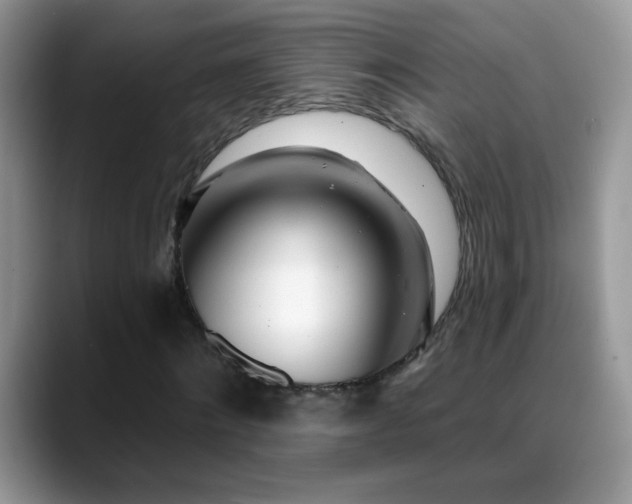 X0000088900868200706081304