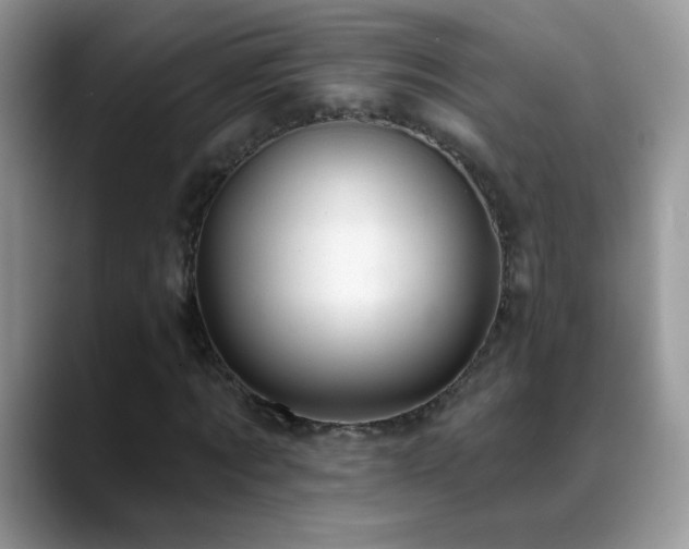 X0000088900869200706081304