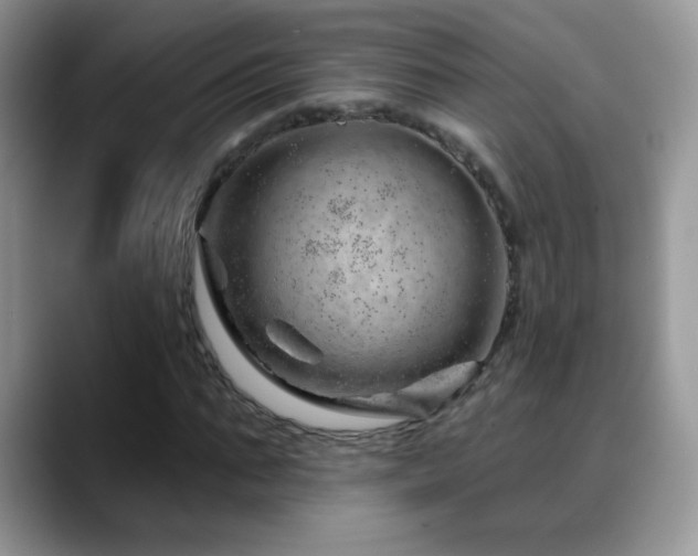 X0000088900871200706081304