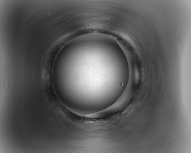 X0000088900872200706081304