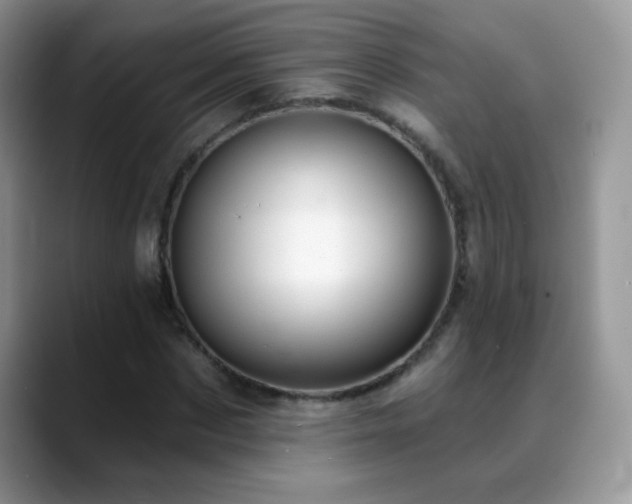 X0000088900873200706081304