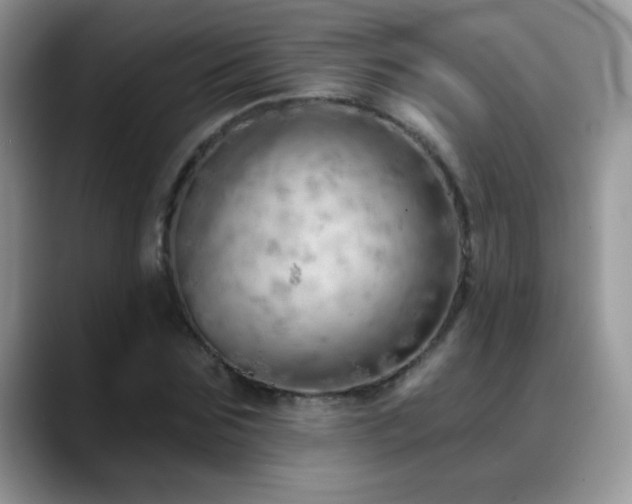 X0000088900875200706081304
