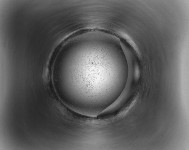 X0000088900876200706081304