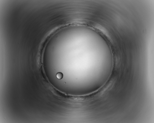 X0000088900878200706081304