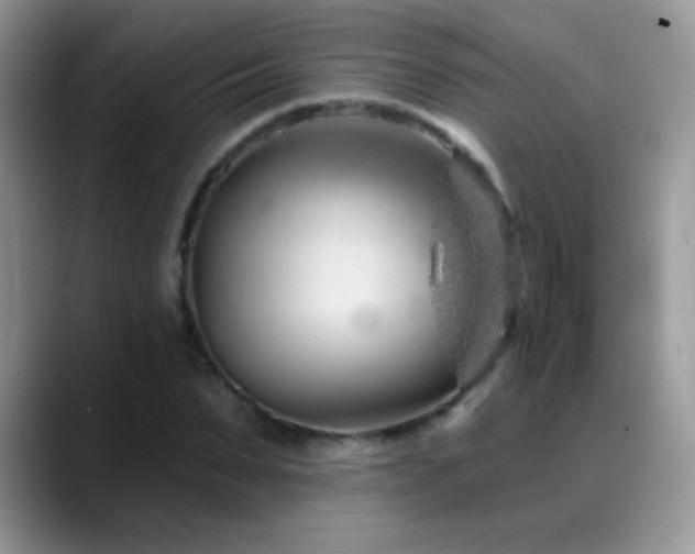 X0000088900879200706081304