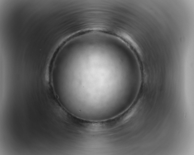 X0000088900883200706081304