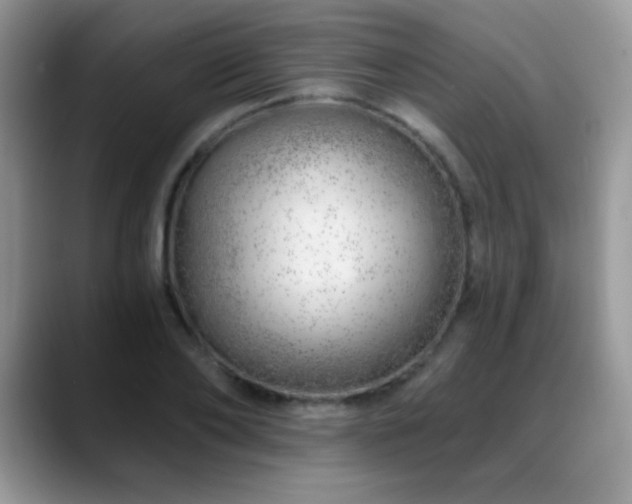 X0000088900886200706081304