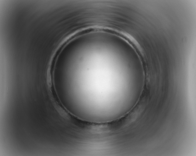 X0000088900887200706081304