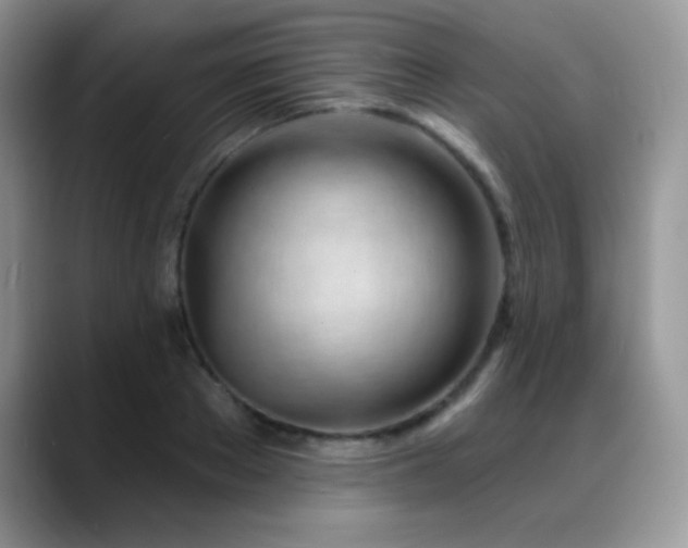 X0000088900889200706081304