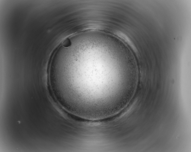 X0000088900890200706081304