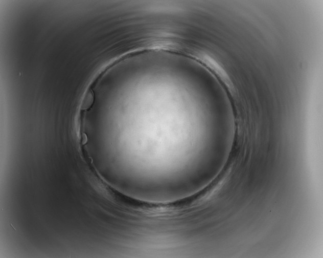 X0000088900891200706081304