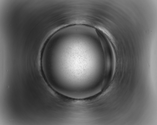 X0000088900894200706081304