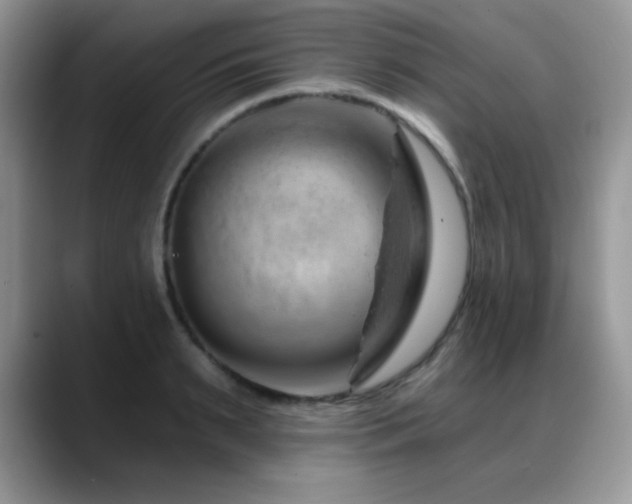 X0000088900895200706081304