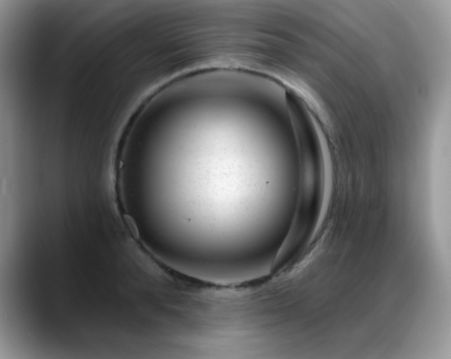 X0000088900896200706081304
