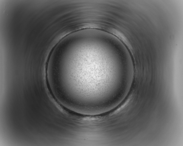 X0000088900898200706081304