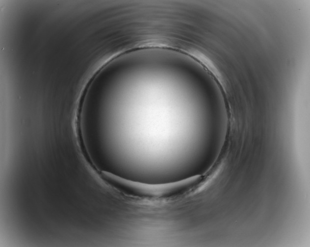 X0000088900901200706081304