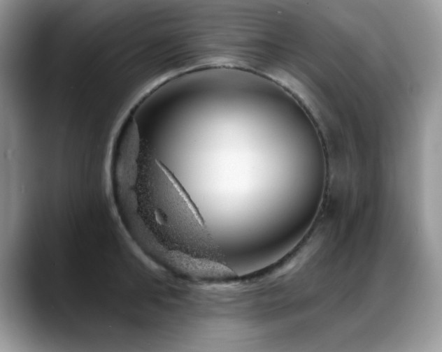 X0000088900902200706081304