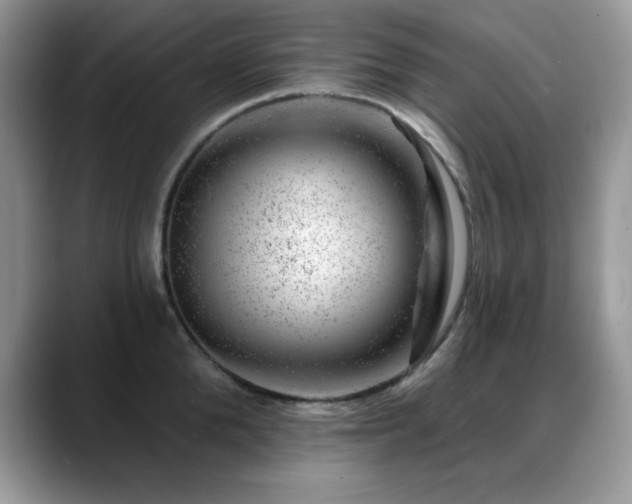 X0000088900904200706081304