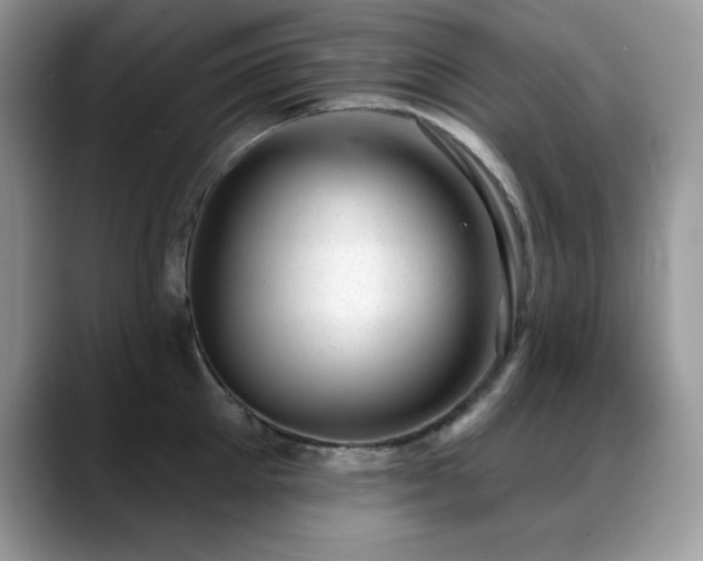 X0000088900905200706081304