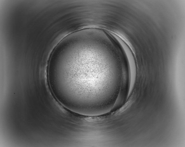 X0000088900906200706081304