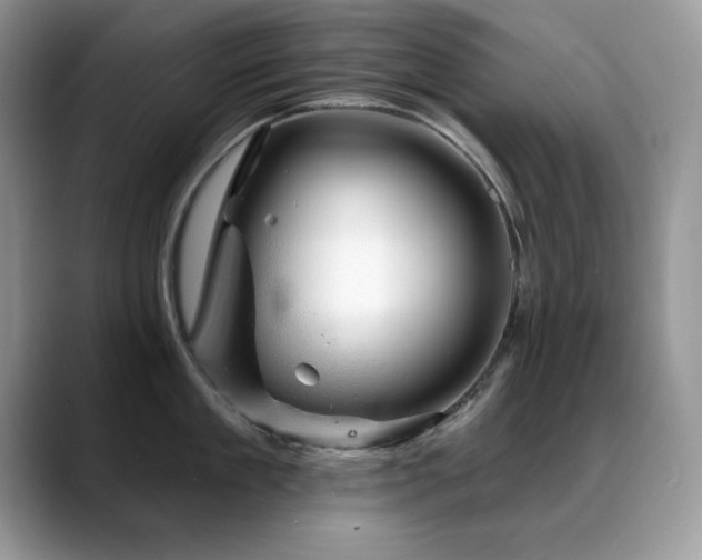 X0000088900909200706081303