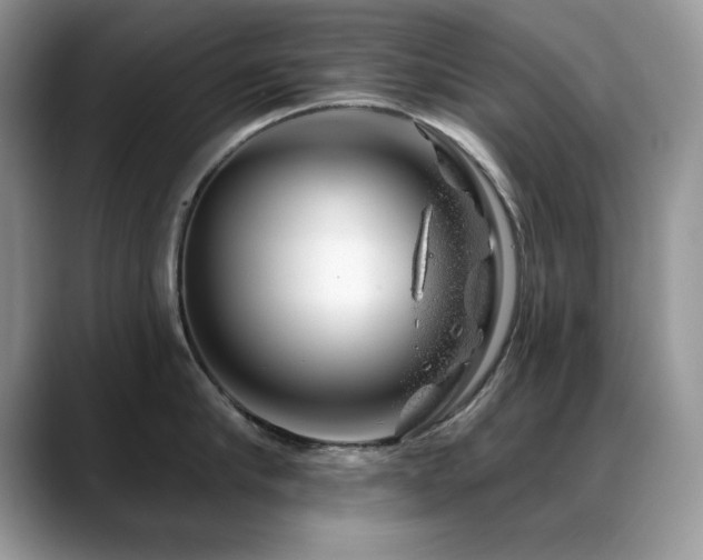 X0000088900910200706081303