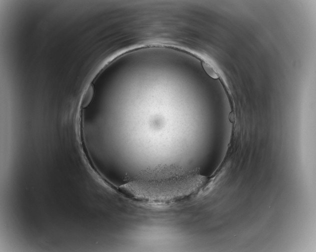 X0000088900911200706081303