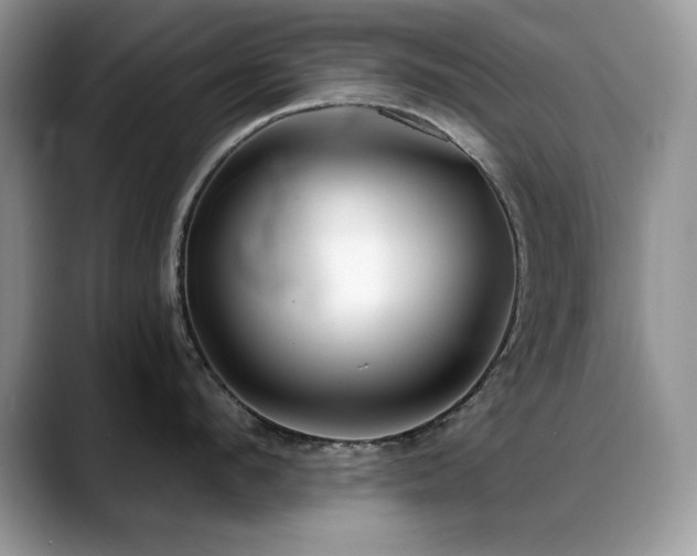 X0000088900912200706081303
