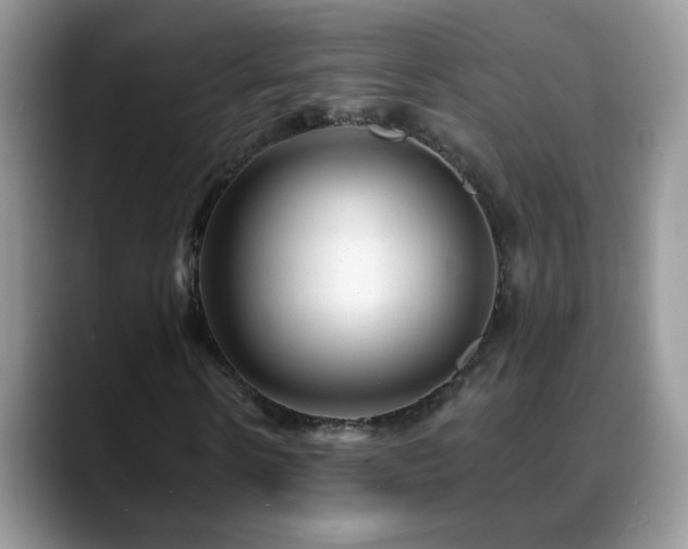 X0000088900914200706081303