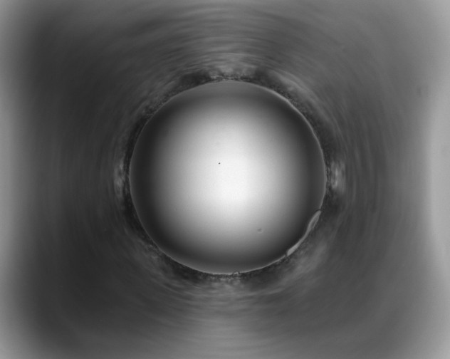 X0000088900915200706081303