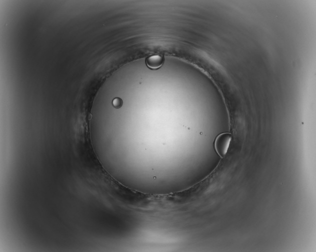 X0000088900918200706081303