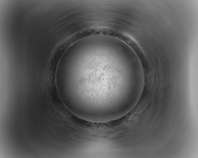 X0000088900919200706081303