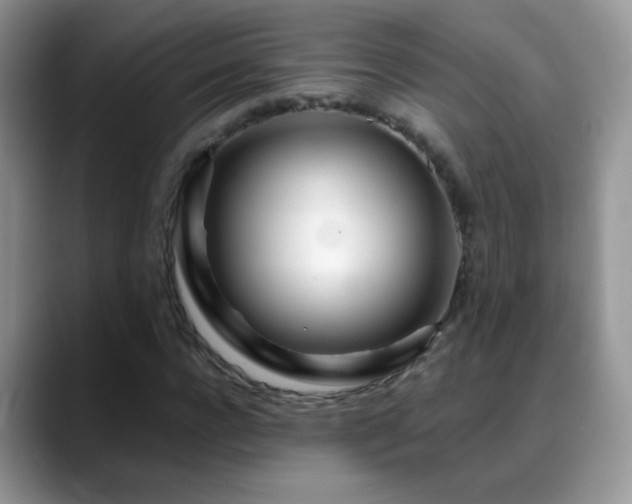 X0000088900920200706081303