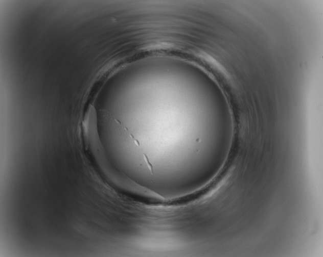 X0000088900921200706081303