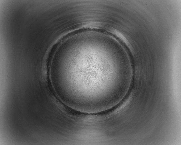 X0000088900923200706081303