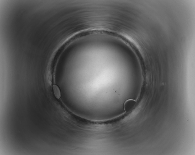 X0000088900925200706081303