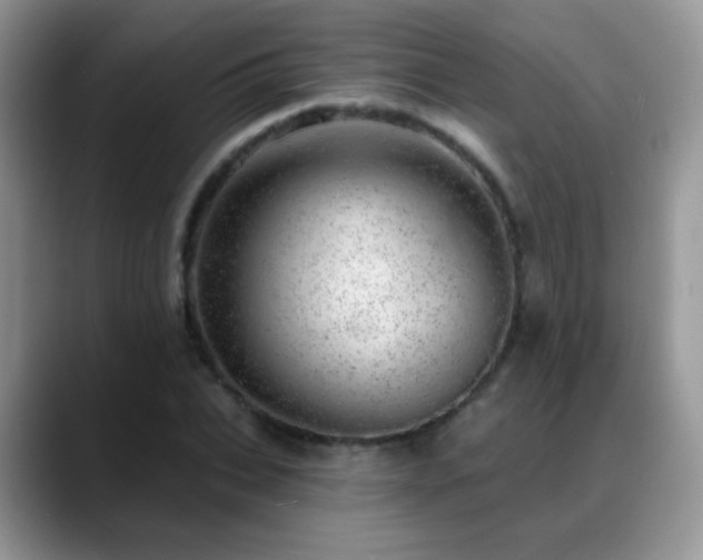 X0000088900927200706081303