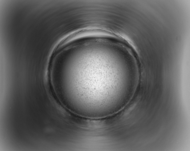 X0000088900928200706081303