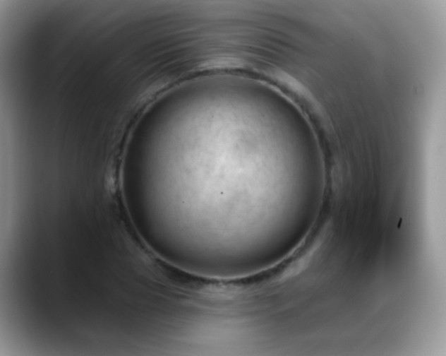 X0000088900929200706081303
