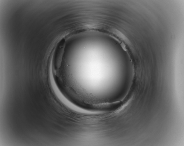 X0000088900930200706081303