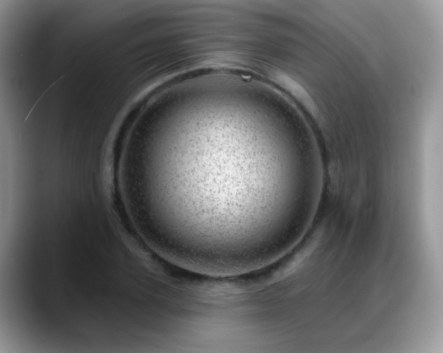 X0000088900931200706081303