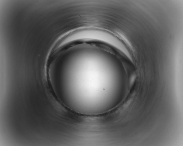 X0000088900932200706081303