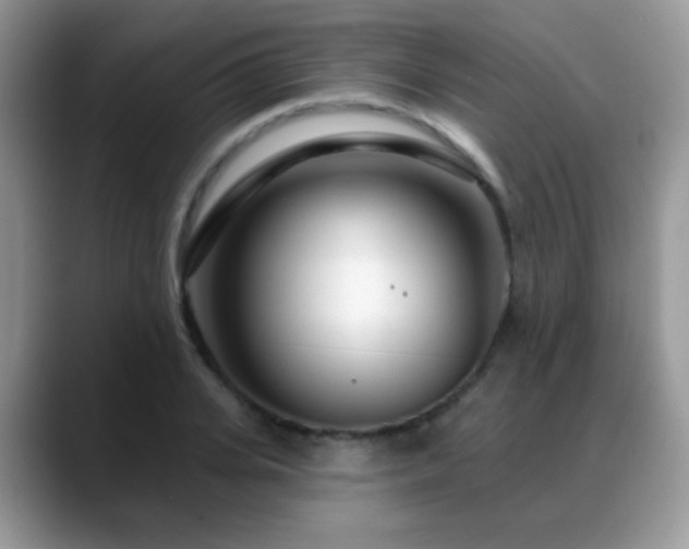 X0000088900935200706081303