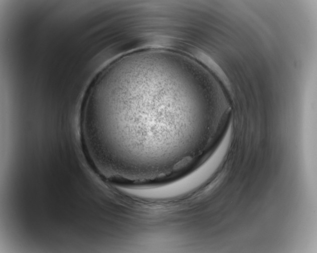 X0000088900939200706081303