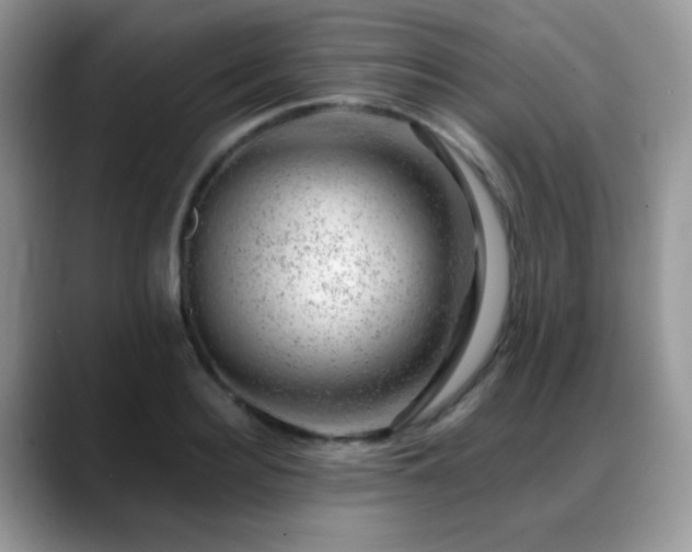 X0000088900940200706081303