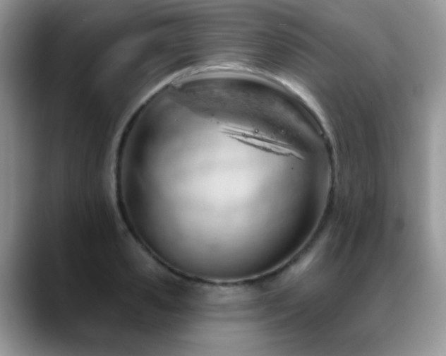 X0000088900941200706081303