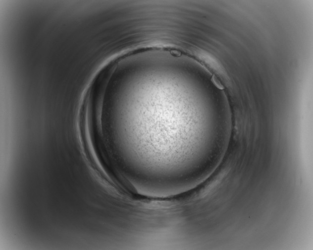 X0000088900942200706081303