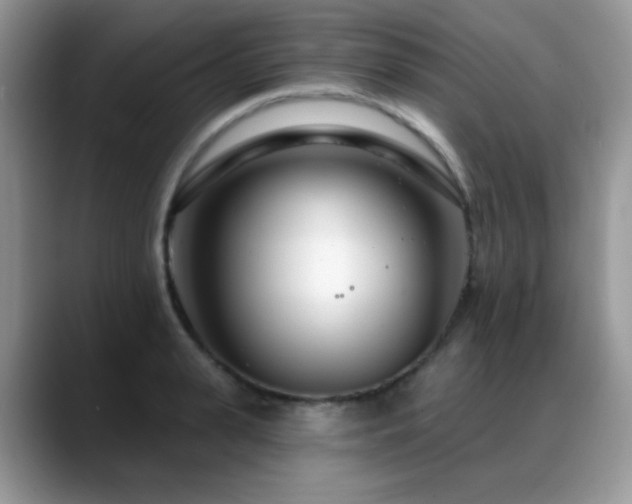X0000088900943200706081303