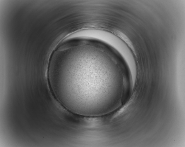 X0000088900946200706081303